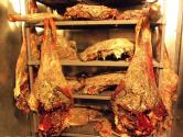 Have You Tried Bear Meat Yet?